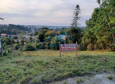 WhatsApp Image 2025-06-11 at 14.38.59 (1)