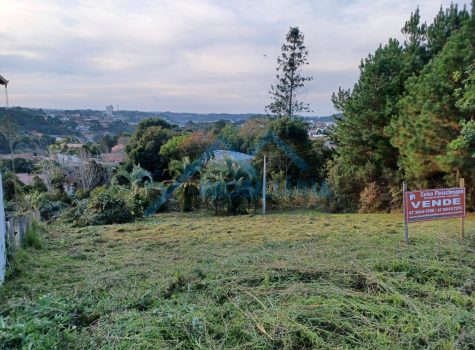 WhatsApp Image 2025-06-11 at 5.23.04 PM