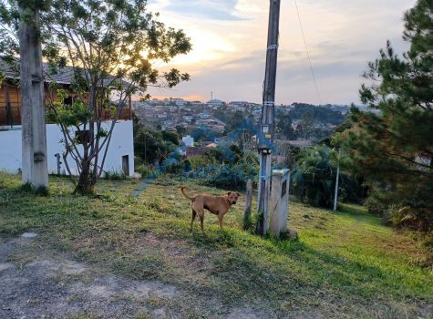 WhatsApp Image 2025-06-11 at 5.23.23 PM